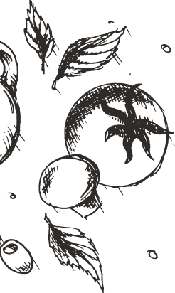 decorative shape